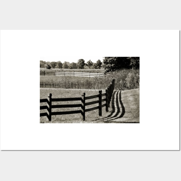 Lines and Shadows Wall Art by bgaynor